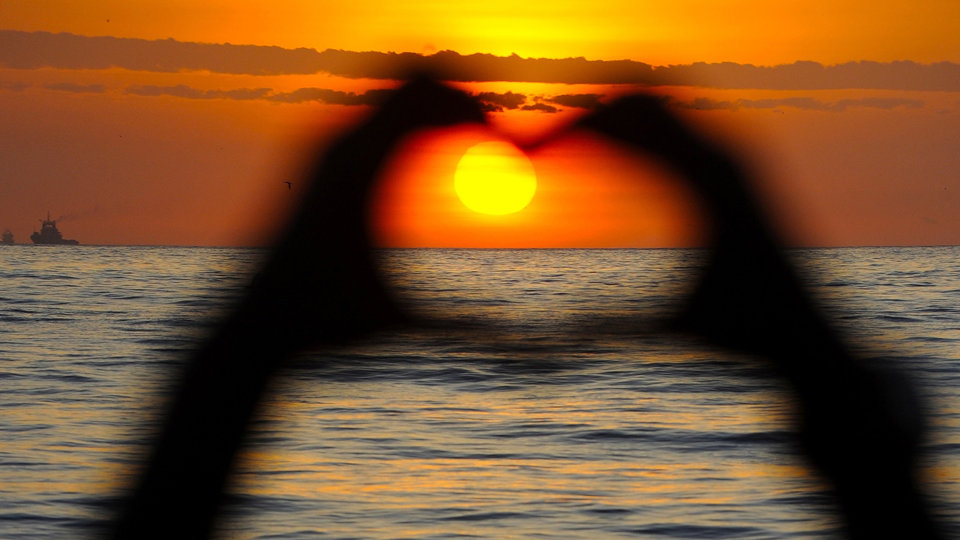 Vitamin D, The Sunshine Vitamin, Healthy Living + Travel