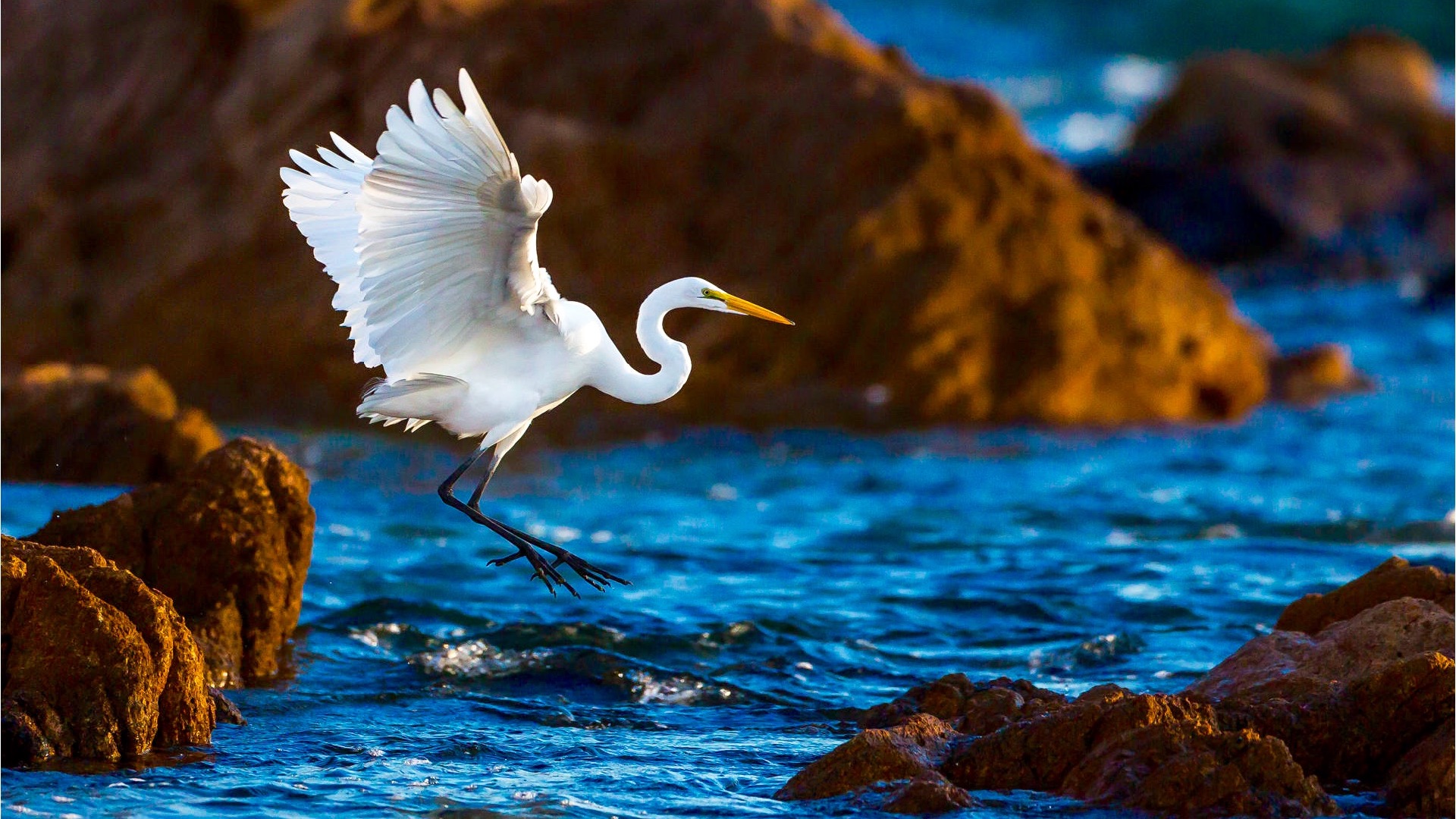 Jasha Spa, JW Marriott Los Cabos Beach Resort, Los Cabos, Mexico | Healthy Living + Travel