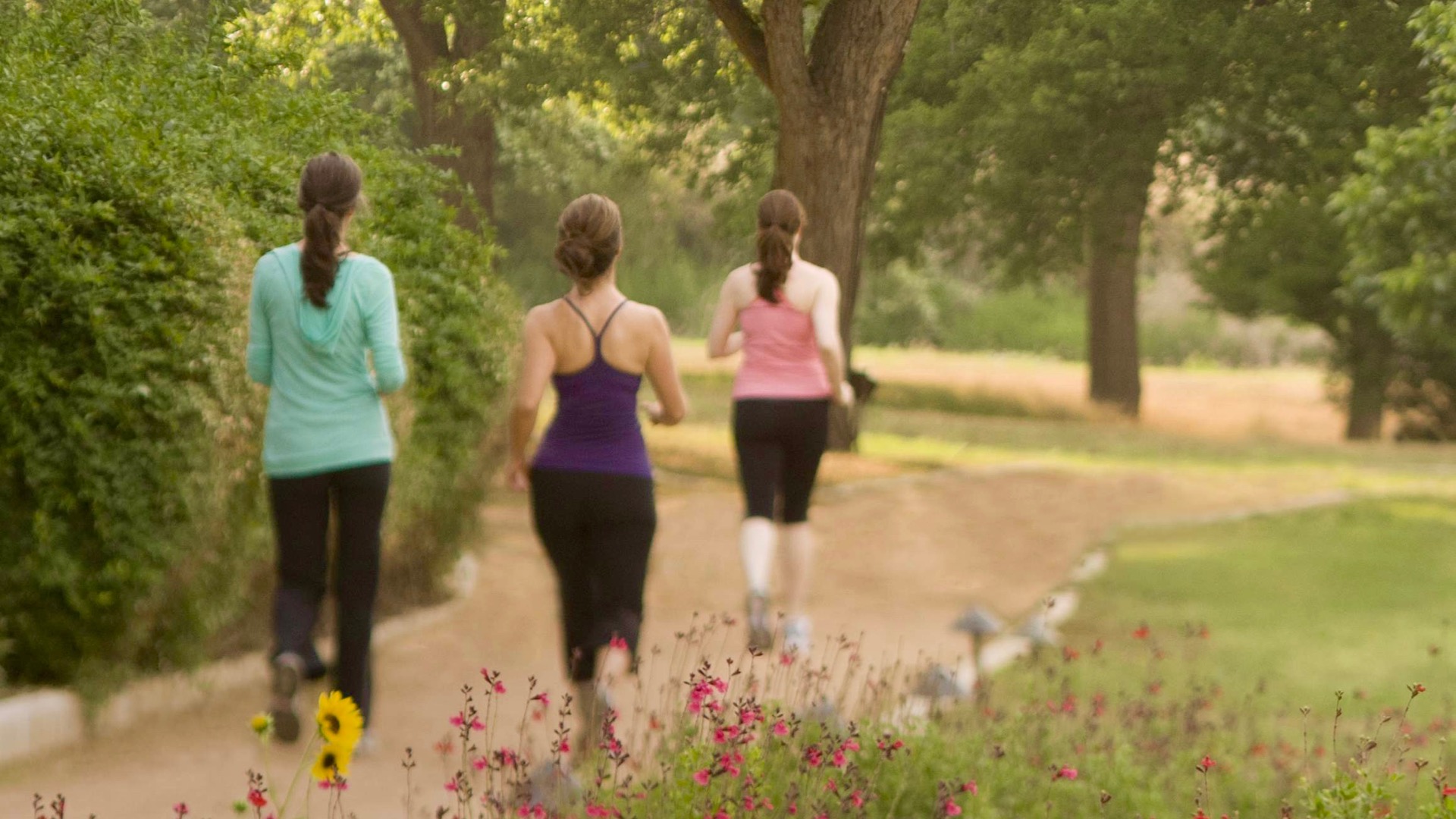 Healthy Heart, Healthy Living + Travel