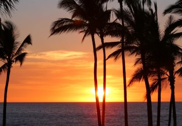 Sunset, Healthy Living + Travel