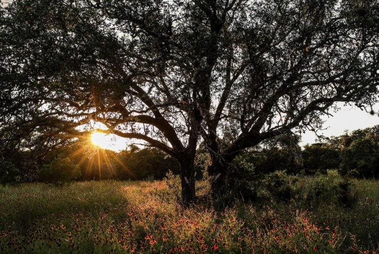 Natural Beauty, Lantana Spa at the JW Marriott San Antonio Hill Country Resort & Spa, Spas of America