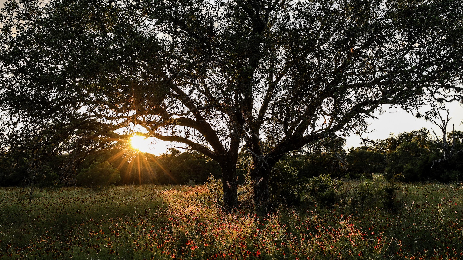 Natural Beauty, Lantana Spa at the JW Marriott San Antonio Hill Country Resort & Spa, Spas of America