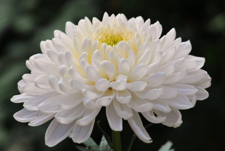 Home Spa - Connecting with Nature, Healthy Living + Travel