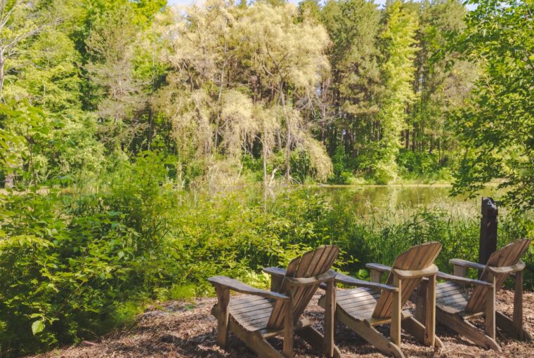 Forest Bathing at Scandinave Spa Blue Mountain, Healthy Living + Travel