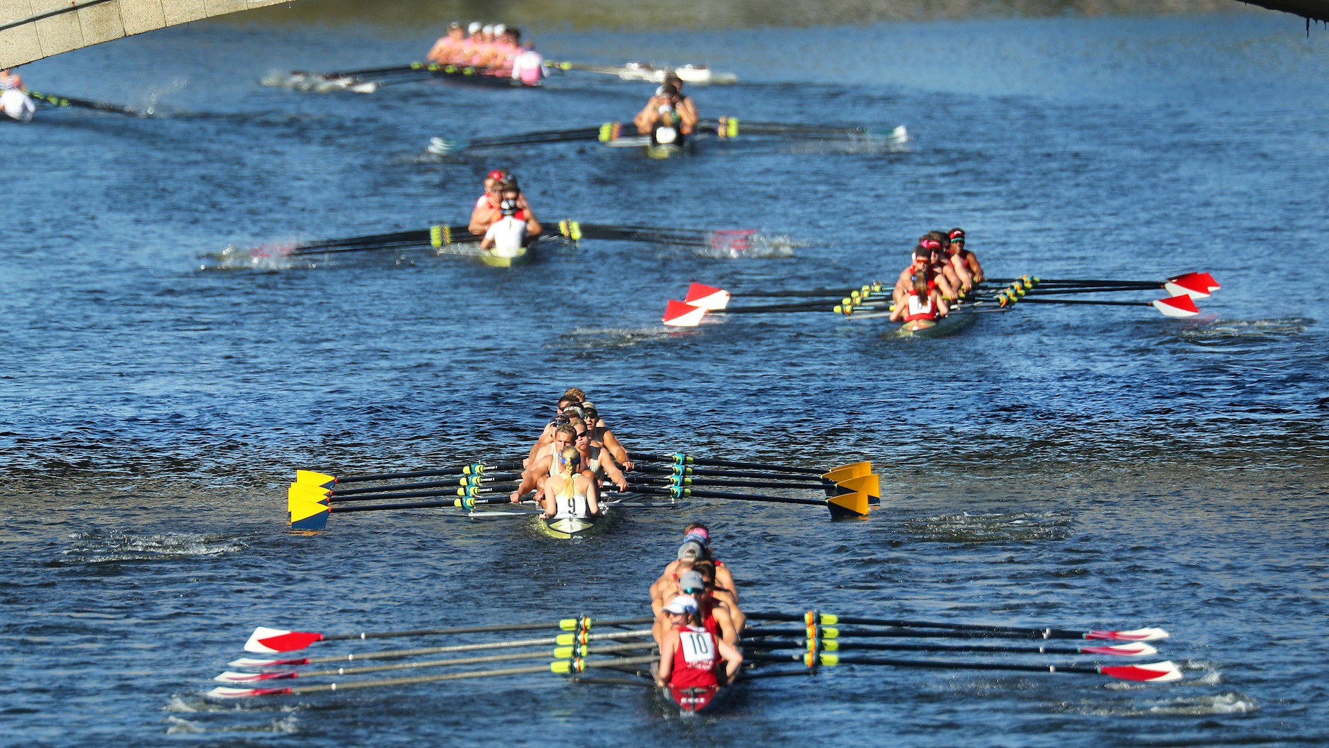 Head of The Charles Regatta, Healthy Living + Travel
