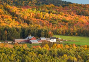 SUPER BLOOM, Vermont Spa Resort