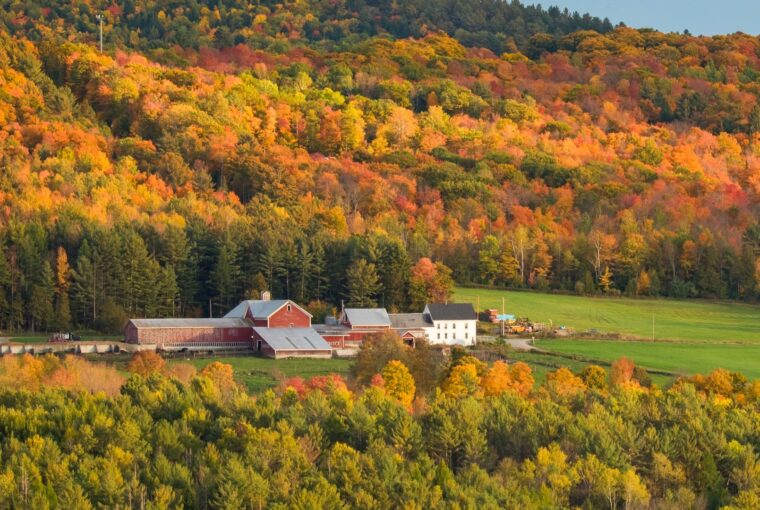 SUPER BLOOM, Vermont Spa Resort