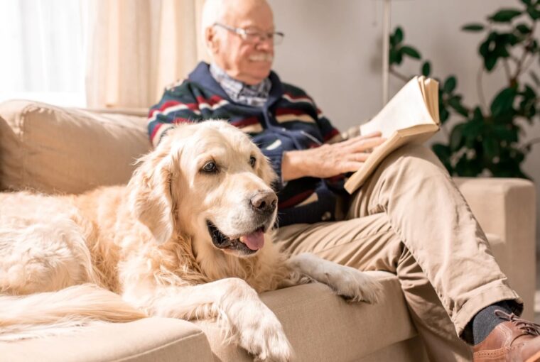 Best Friends on the Couch, Healthy Living + Travel