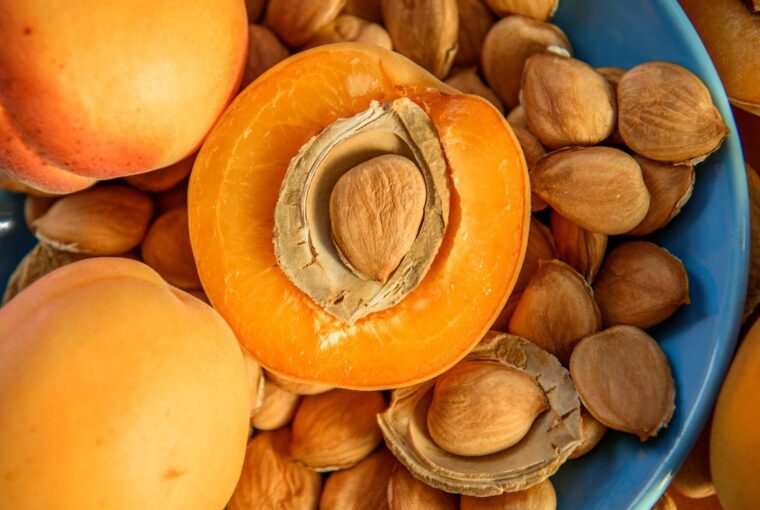 Apricot Seeds, Healthy Living + Travel
