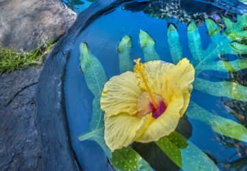 Grand Hyatt Kauai Resort & Spa, Aarna Spa, Healthy Living + Travel