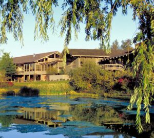 Spa Walden, Healthy Living + Travel