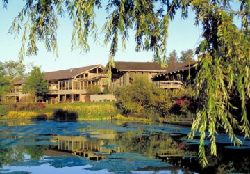 Spa Walden, Healthy Living + Travel