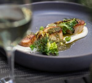 Americana House Bar & Lounge Opens at Appellation Lodi, Wine & Roses, Healthy Living + Travel