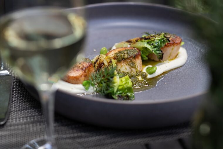 Americana House Bar & Lounge Opens at Appellation Lodi, Wine & Roses, Healthy Living + Travel